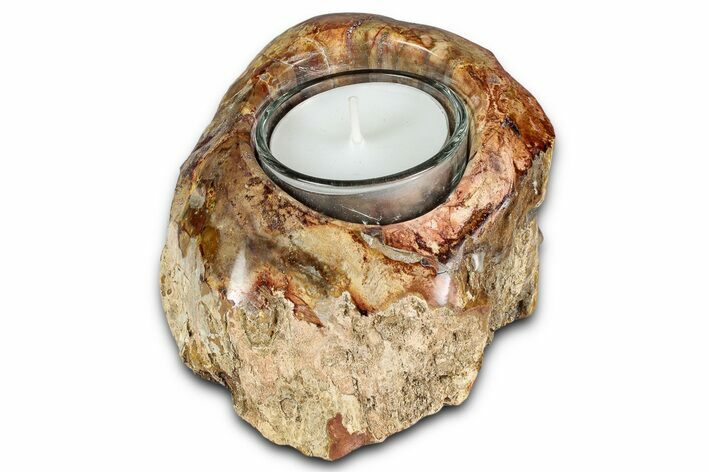 Polished Petrified Wood Candle Holder - Madagascar #337582
